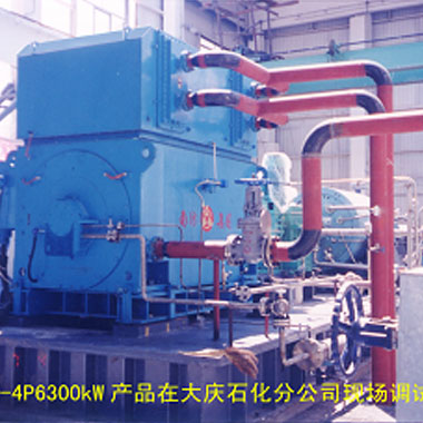 大慶石化（2006年 ，YAKS710-4P，1臺(tái)）